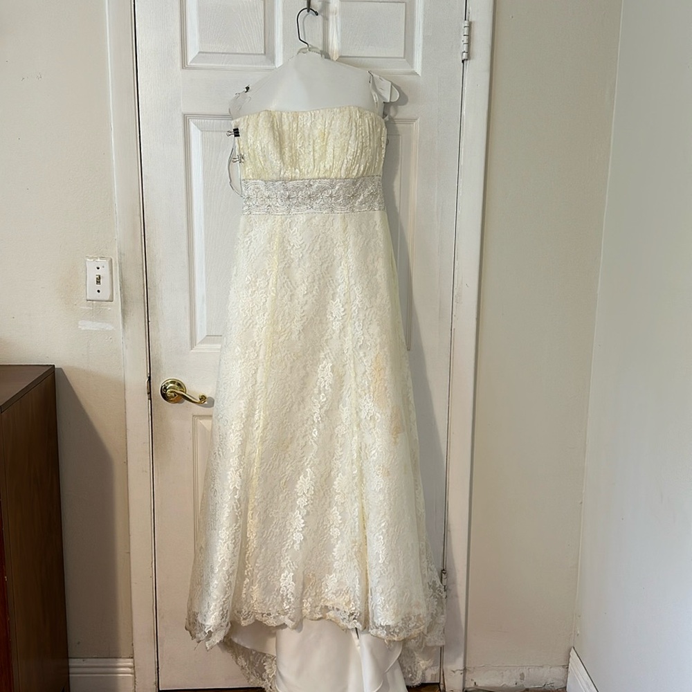 David’s Bridal All Over Lace Strapless A Line Wedding Dress